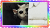 Twenty One Pilots Ned Bayou 3